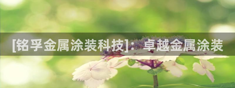 美高梅国际酒店集团股东