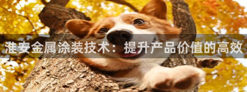 美高梅 何超琼