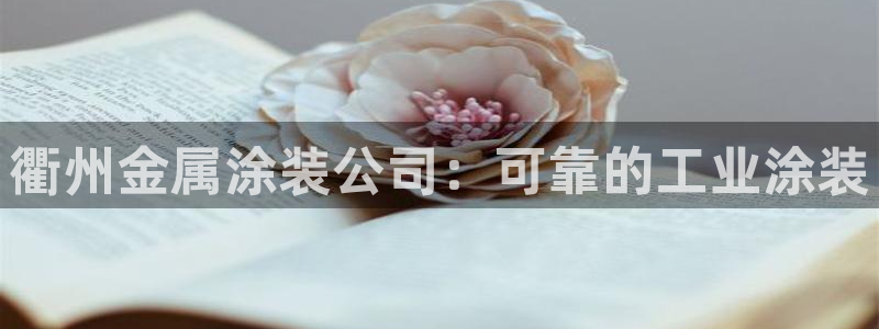 美高梅中国股票