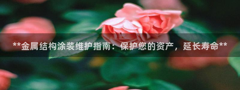 美高梅现状
