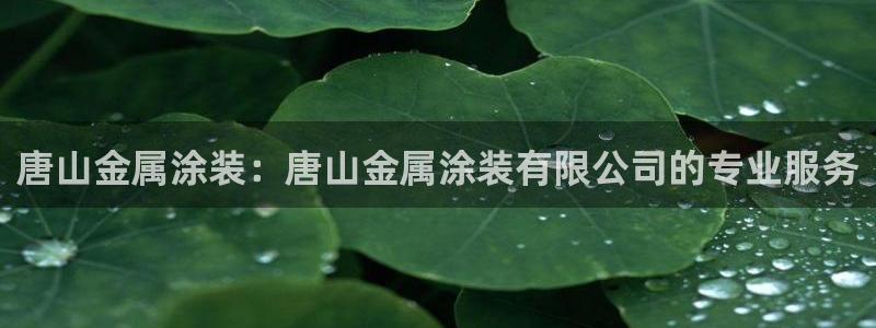 美国美高梅创始人简介