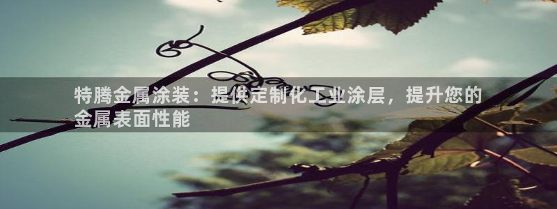 美狮美高梅酒店前台