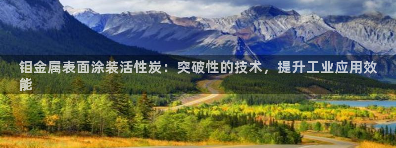 美高梅国际酒店集团十大股东
