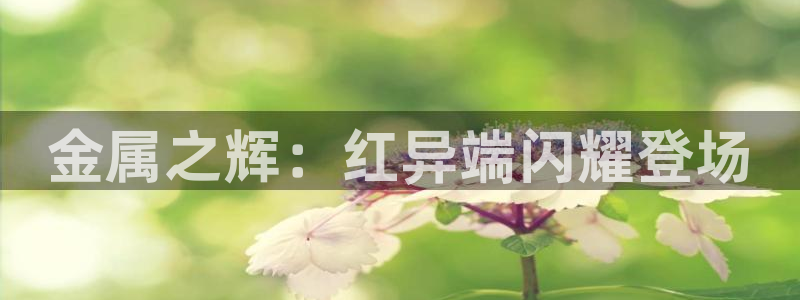 美高梅大酒店花园体育馆