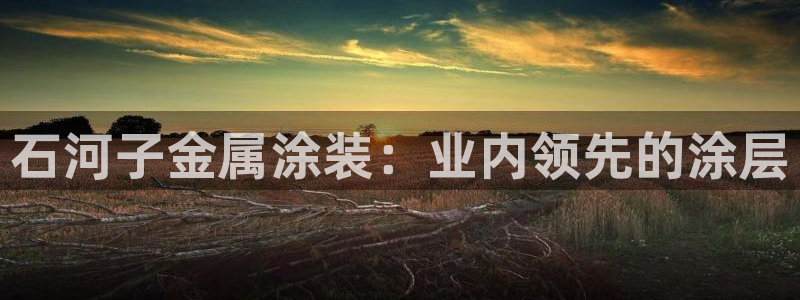 美高梅会员卡积分送什么