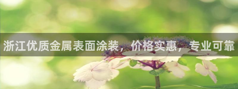 美高梅公司的社会信用代码查询