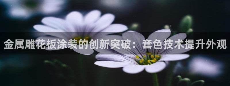 美高梅酒店是哪个集团