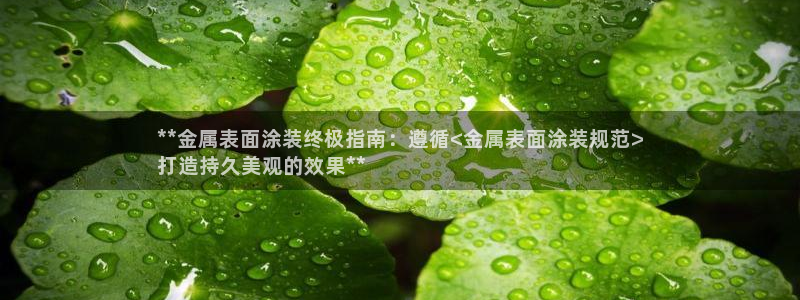美高梅酒店工资怎么样