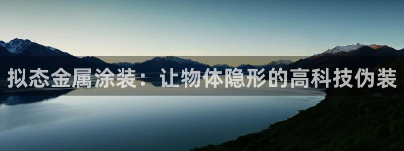 美高梅筹码颜色对应面值