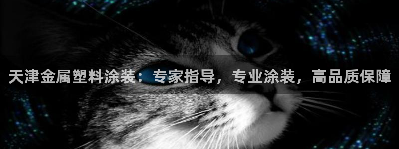 美高梅可以订外卖吗