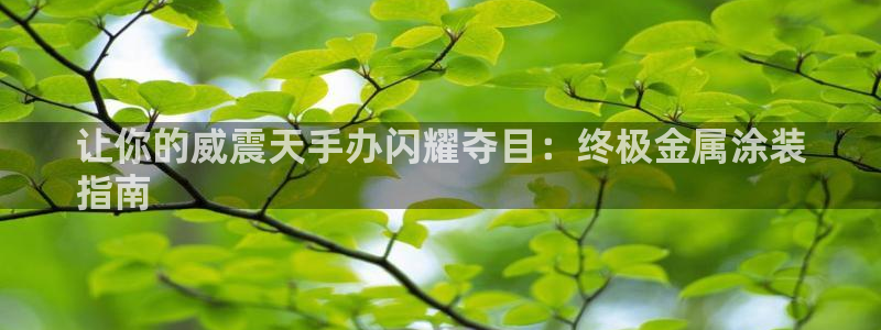 美高梅在澳门有几家