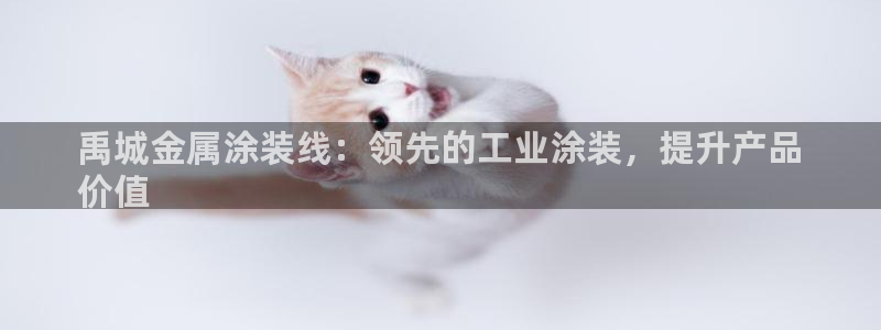 美狮美高梅酒店何超