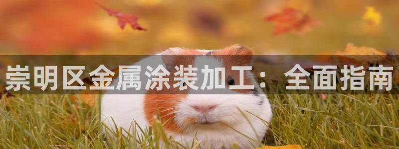 美狮美高梅酒店设计师