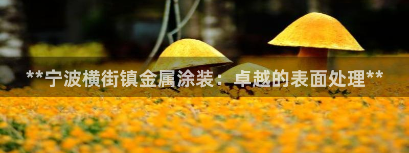 美高梅mgm集团4688打不开