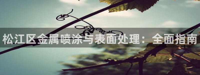 美高梅的老板