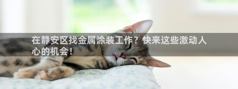 澳门的美高梅是谁的