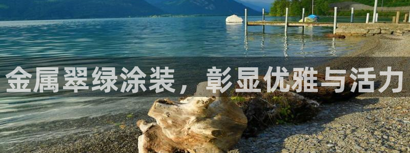 美高梅酒店和电影公司