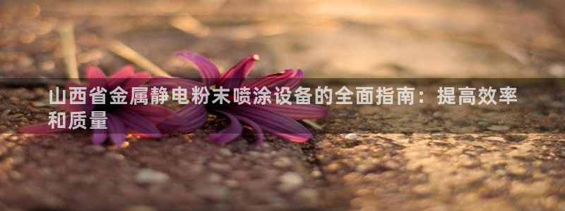 美高梅筹码颜色对应面值