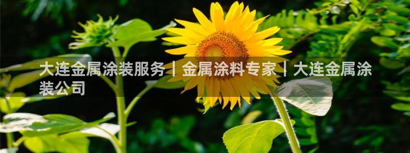 美高梅游戏平台官网下载
