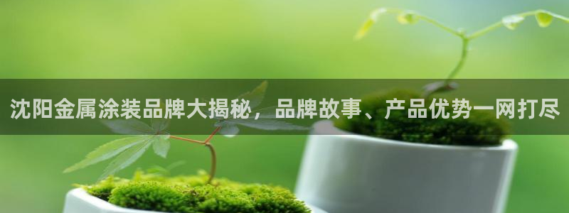 美狮美高梅美食