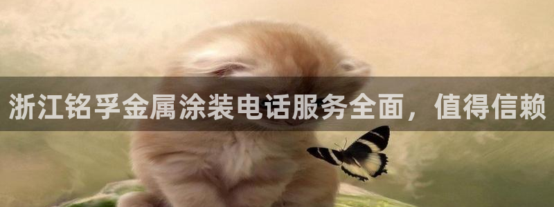 美高梅开业时间