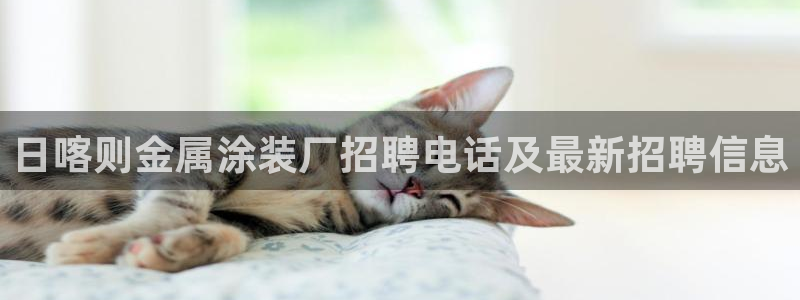 美高梅客服联系方法