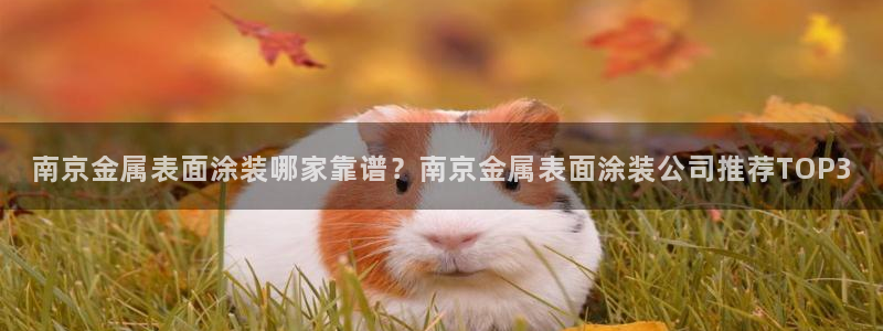 美高梅酒店门口的大狮子