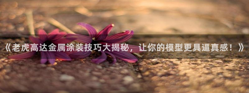 美高梅公司的业务范围