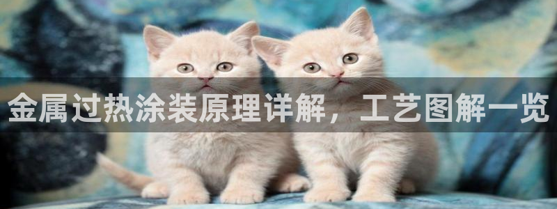 美高梅会员卡有什么用