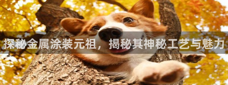 美高梅别墅是精装吗还是毛坯