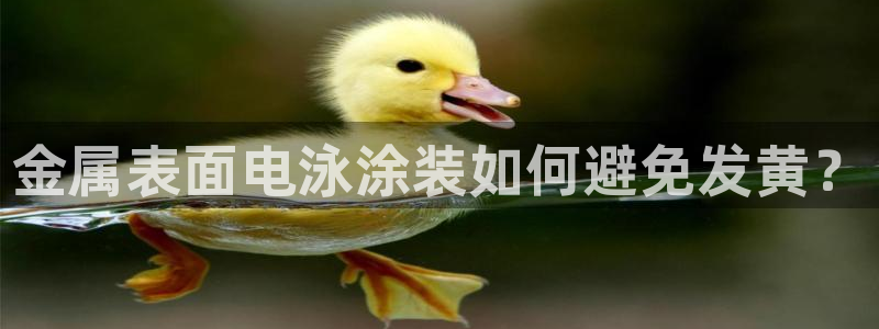 美高梅大厦