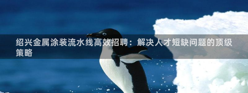 美高梅会员卡级别黑卡
