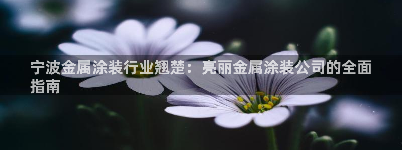 美高梅会员卡等级怎么看