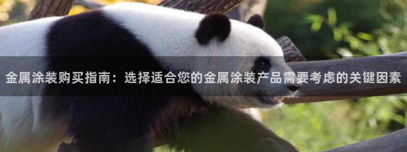 美高梅直营正网