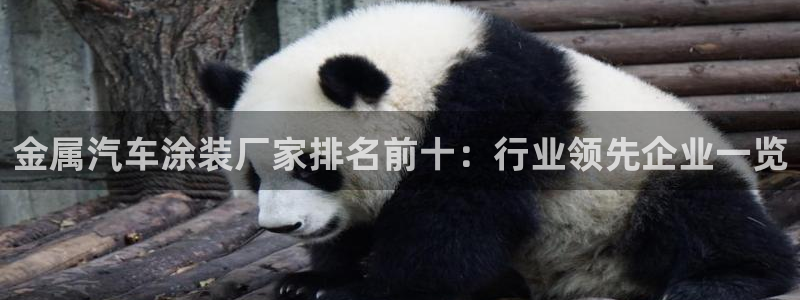 美高梅mgm集团4688打不开