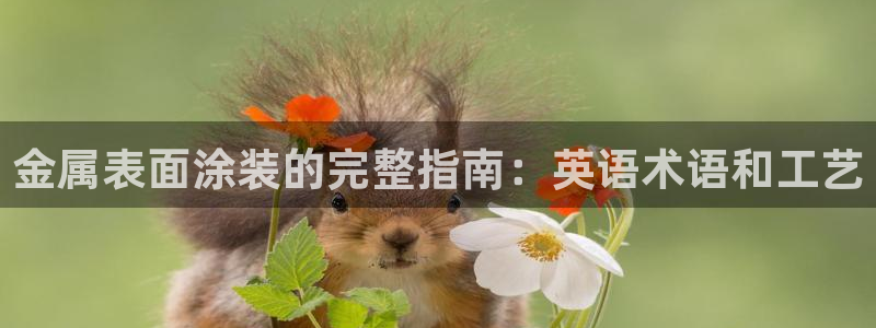 美高梅儿童托管怎么样啊