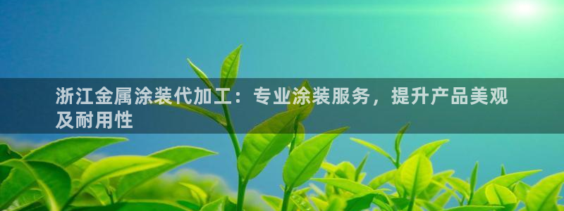 美高梅衣服外套
