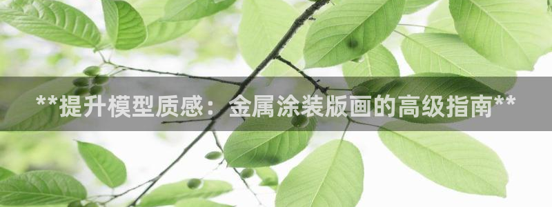 美狮美高梅酒店外观图片