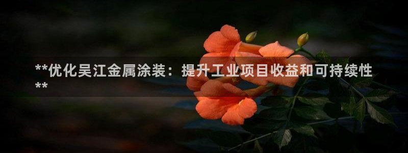 美高梅是谁的公司