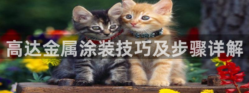 美高梅公司的业务范围