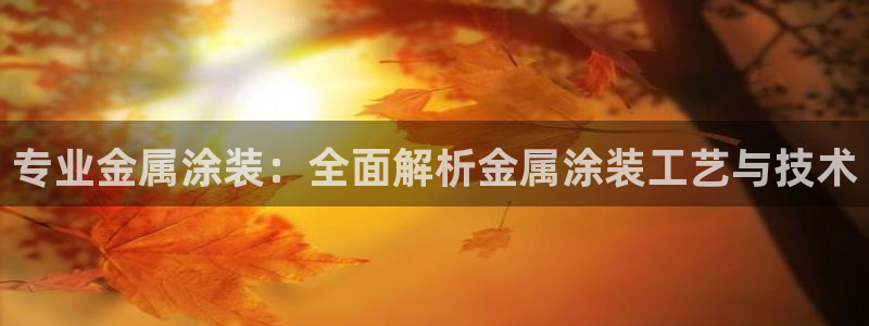 美高梅投资是真的吗