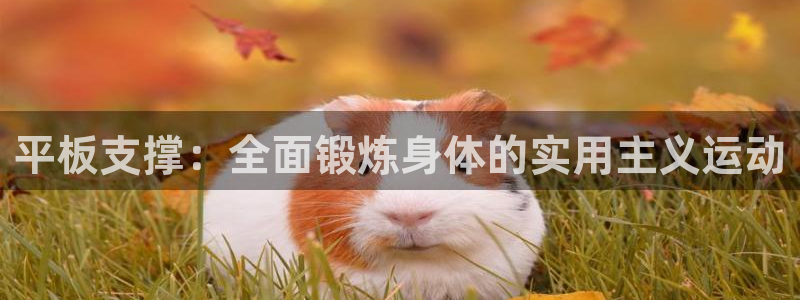 xc体育app官方网站：平板支撑：全面锻炼身体的实用主义运动
