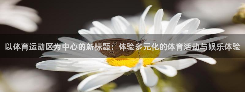 xc体育app官方网站：以体育运动区为中心的新标题：体验多元化的体育活动与娱乐体验