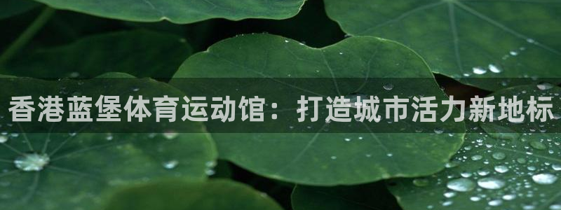xc体育app官方网站：香港蓝堡体育运动馆：打造城市活力新地标