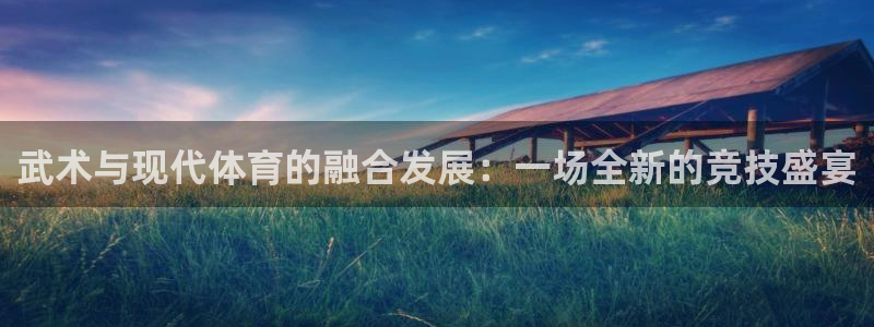 xc体育：武术与现代体育的融合发展：一场全新的竞技盛宴
