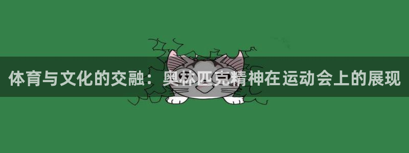 xc体育：体育与文化的交融：奥林匹克精神在运动会上的展现