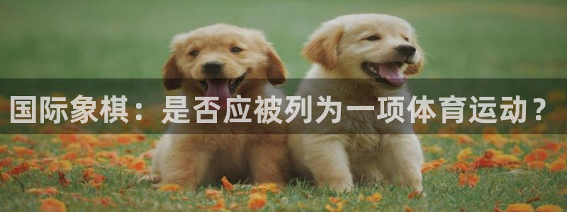 xc体育：国际象棋：是否应被列为一项体育运动？