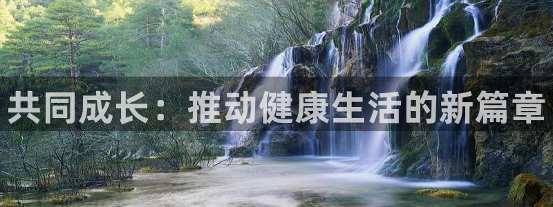 xc体育