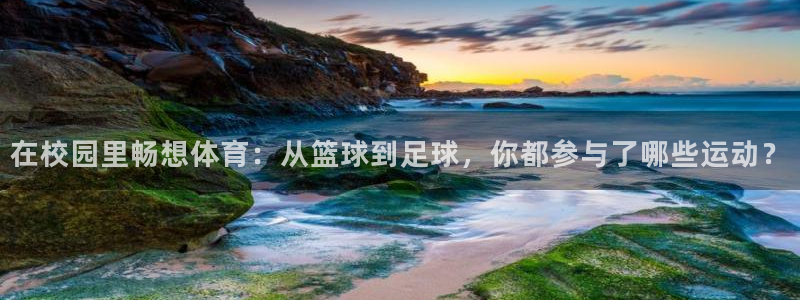 xc体育app官方网站：在校园里畅想体育：从篮球到足球，你都参与了哪些运动？