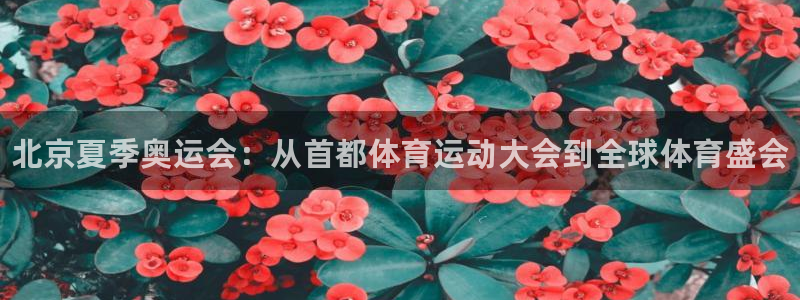 xc体育app官方网站：北京夏季奥运会：从首都体育运动大会到全球体育盛会